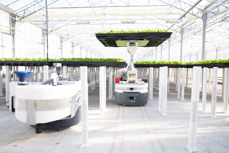 Hippo Harvest: Transforming Indoor Farming with Robotics and AI